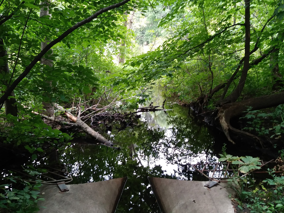 Maple Creek Park-Plymouth必去景点