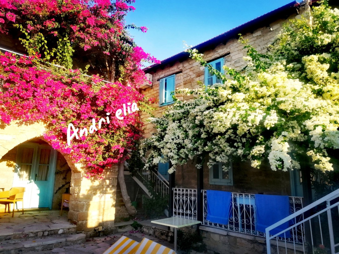 Adamos 1 Br Hotel Apartments
