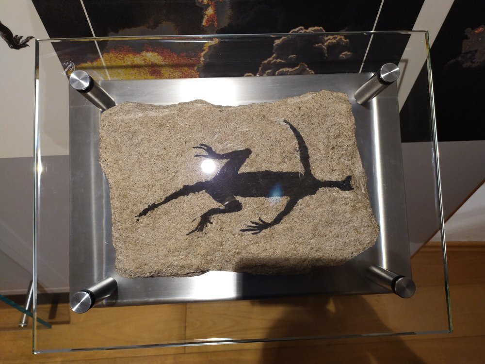 Museum of Nature South Tyrol景点图片