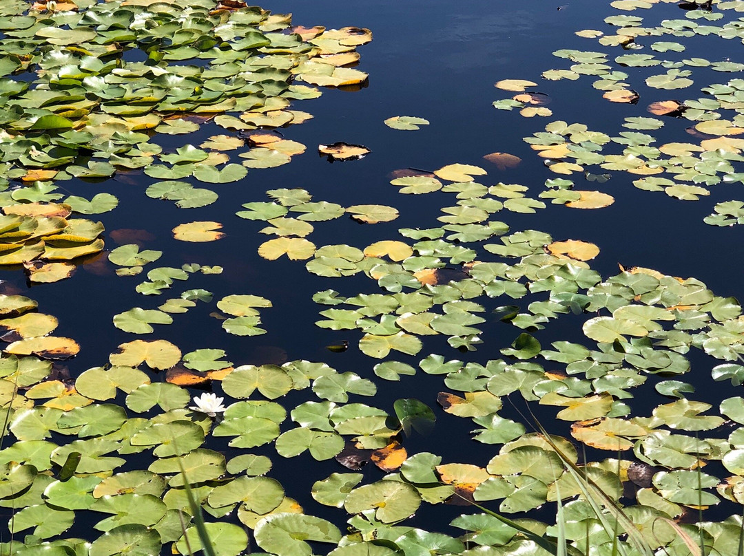 Casa Vicentina主图