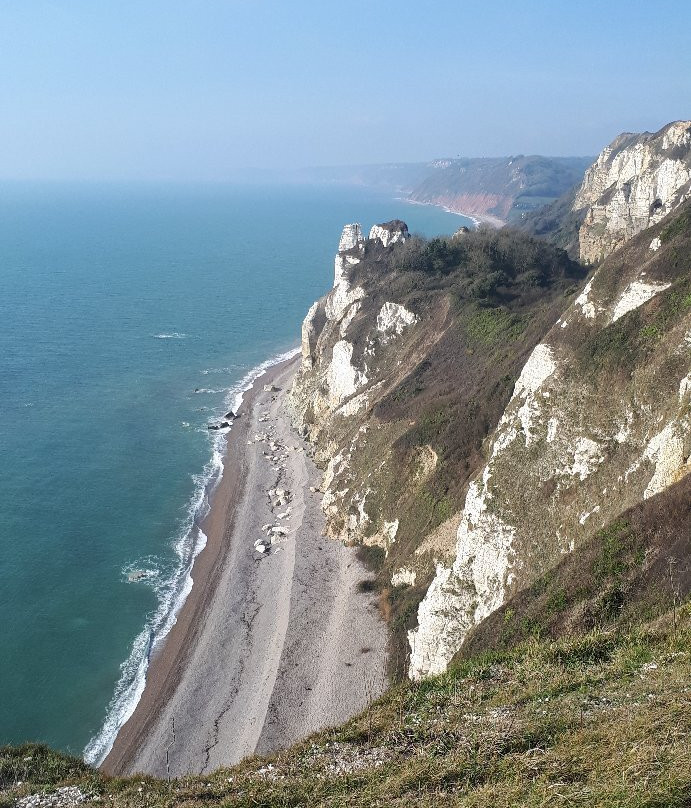 South West Coast Path - Hooken Cliffs-Beer必去景点
