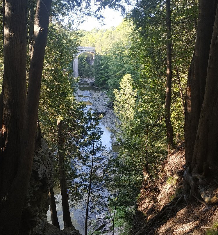 Elora Gorge Conservation Area-伊劳拉必去景点
