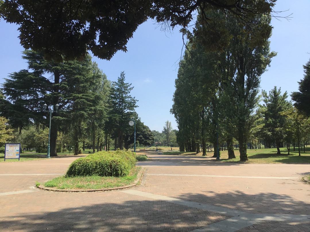 Sai-no-mori Iruma Park-入间市必去景点