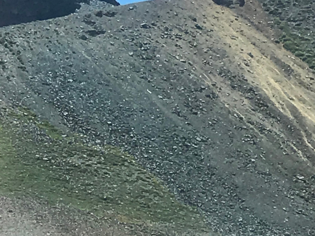 Alpenglow Rentals-克雷斯特德比特必去景点