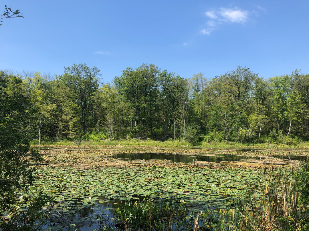 Terra Cotta Conservation Area-霍尔藤山市必去景点