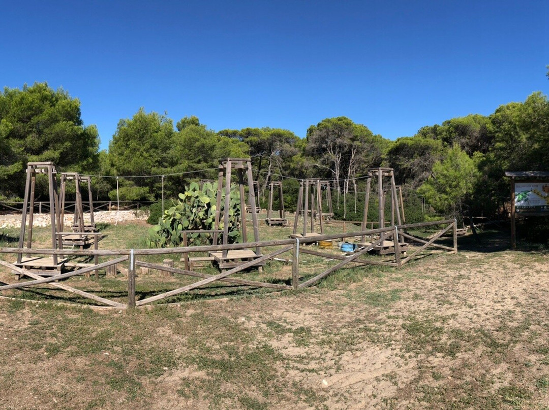 Parco Pineta Regina景点图片