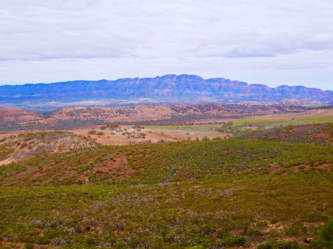 Flinders Ranges National Park景点图片