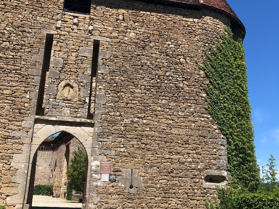Château du Pin景点图片