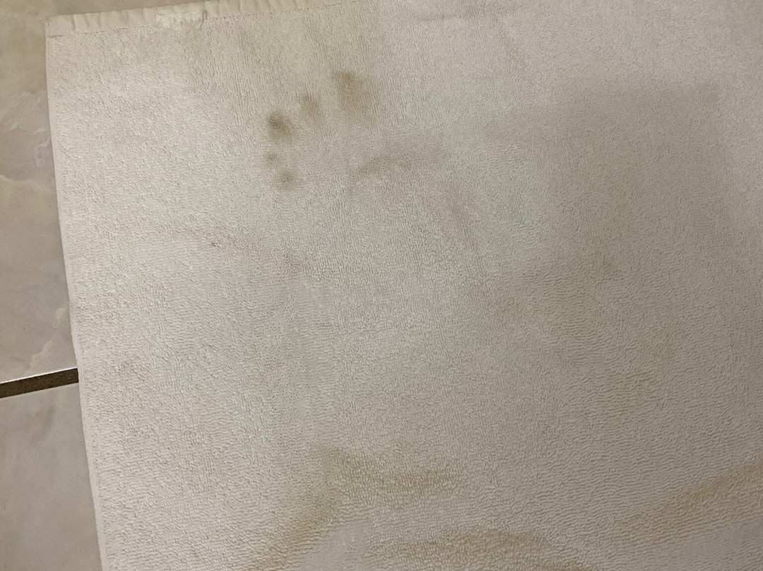 Owen Sound Inn主图