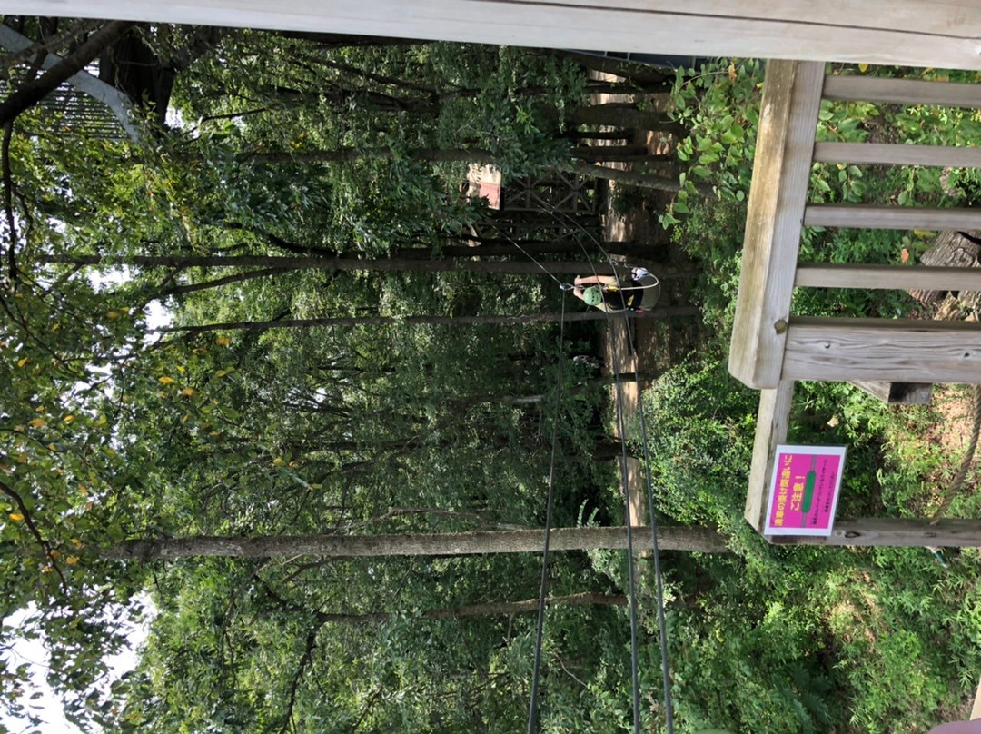 MOBILITY RESORT MOTEGI-茂木町必去景点