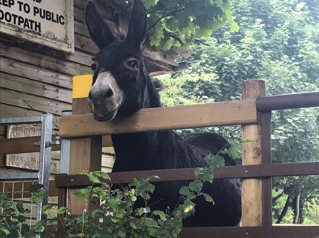 Crug Hywel (Table Mountain)-Crickhowell必去景点