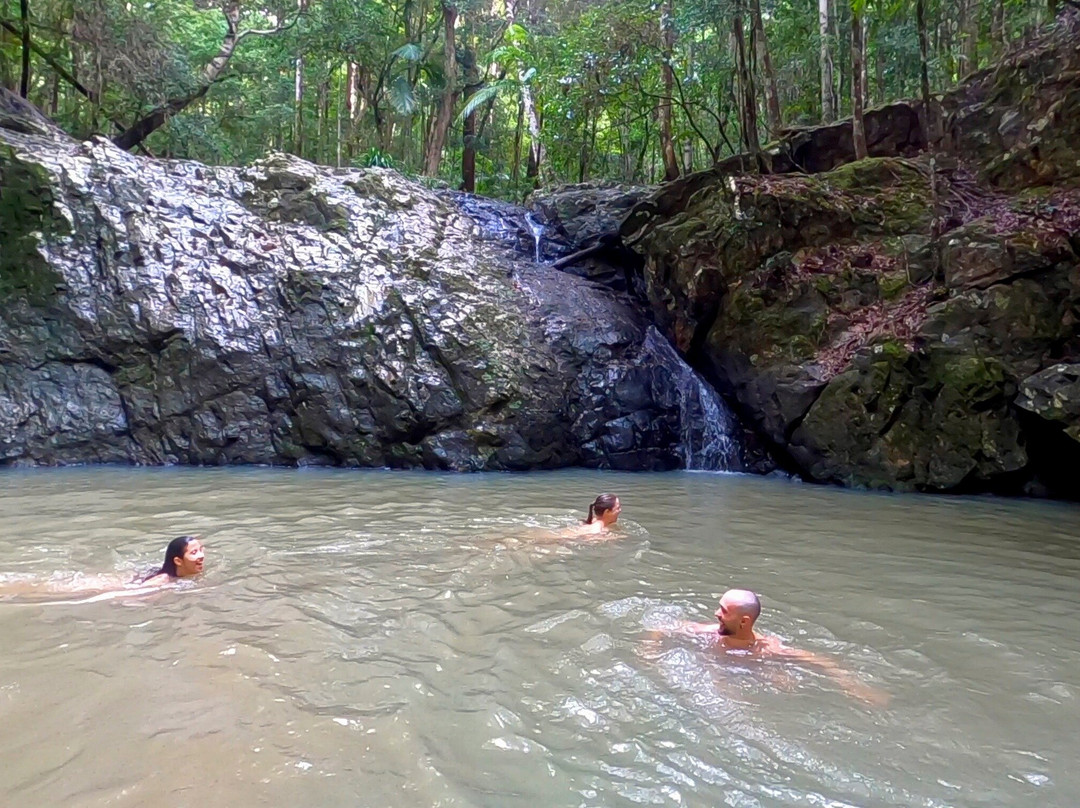 Beyond Byron E Bike Tours - Mullumbimby景点图片