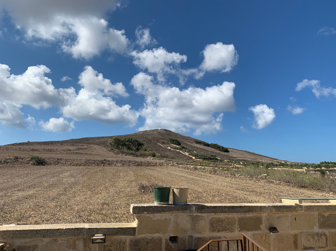 Ta’ Pinu Bed & Breakfast主图