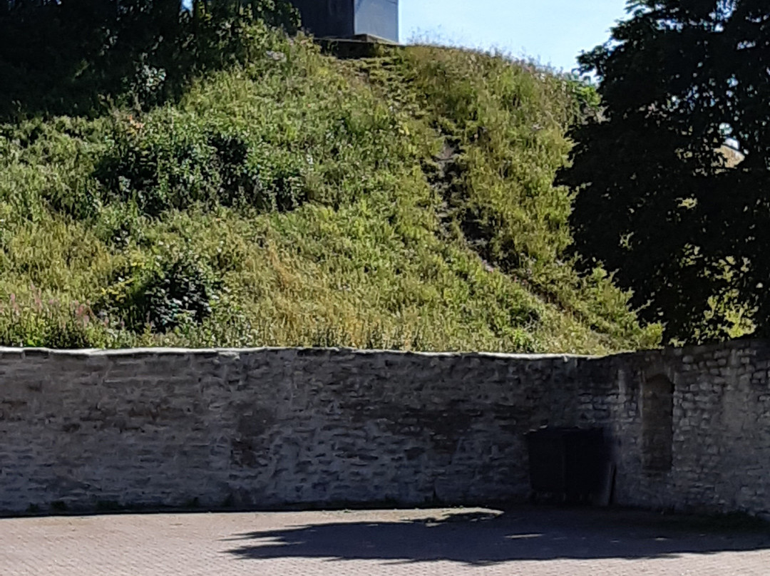 Tarvas Sculpture-拉克韦雷必去景点