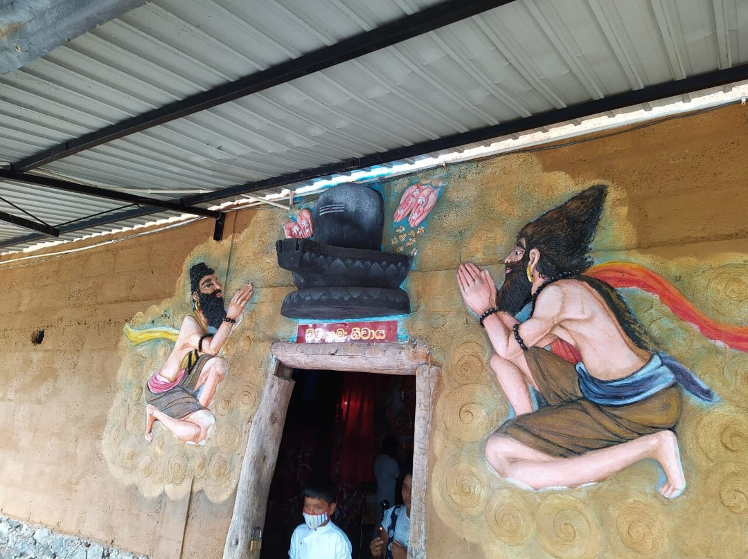 Madhushan Tours And Travels景点图片