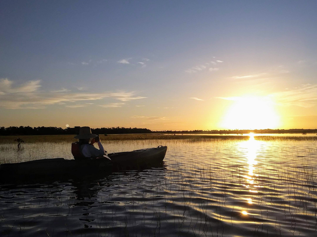 Jenny's Eco Everglades Wilderness Tours景点图片