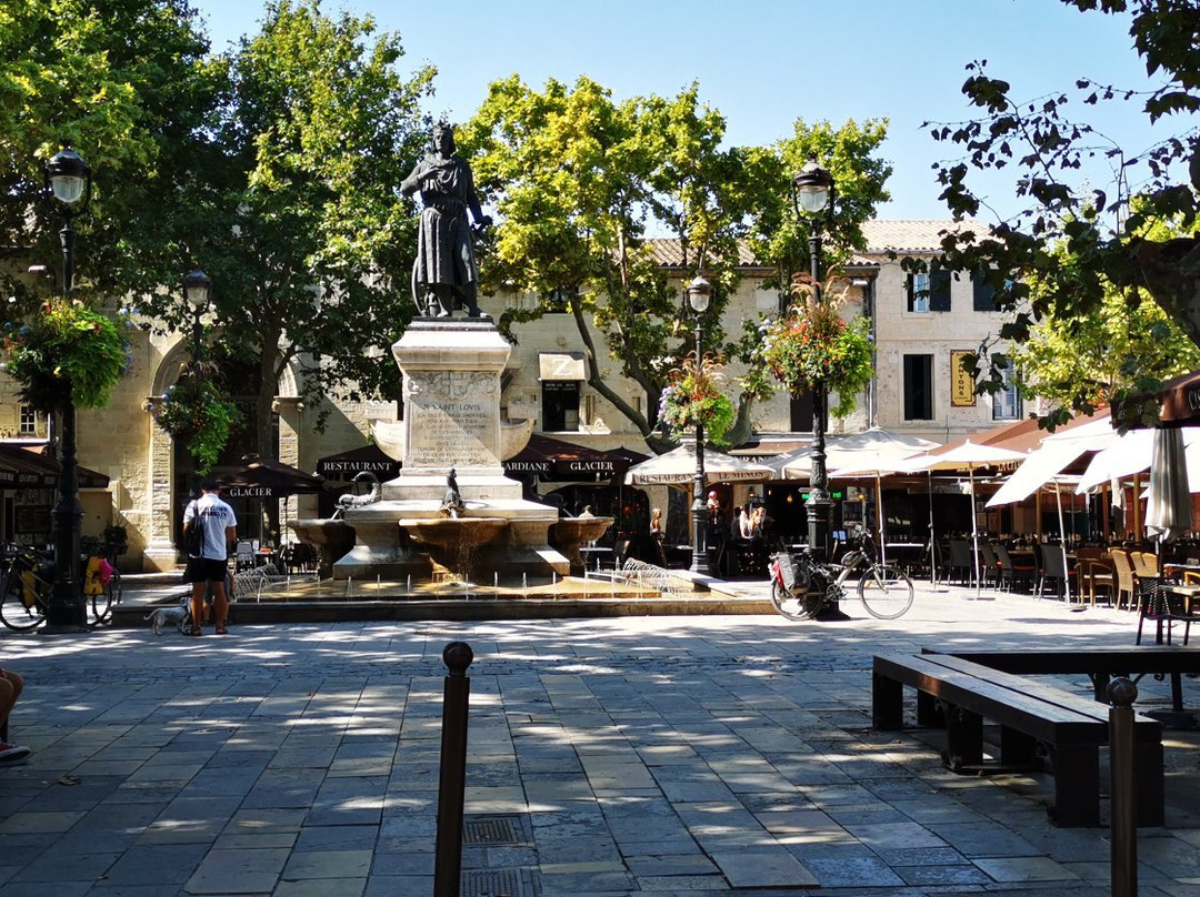 Place Saint Louis景点图片