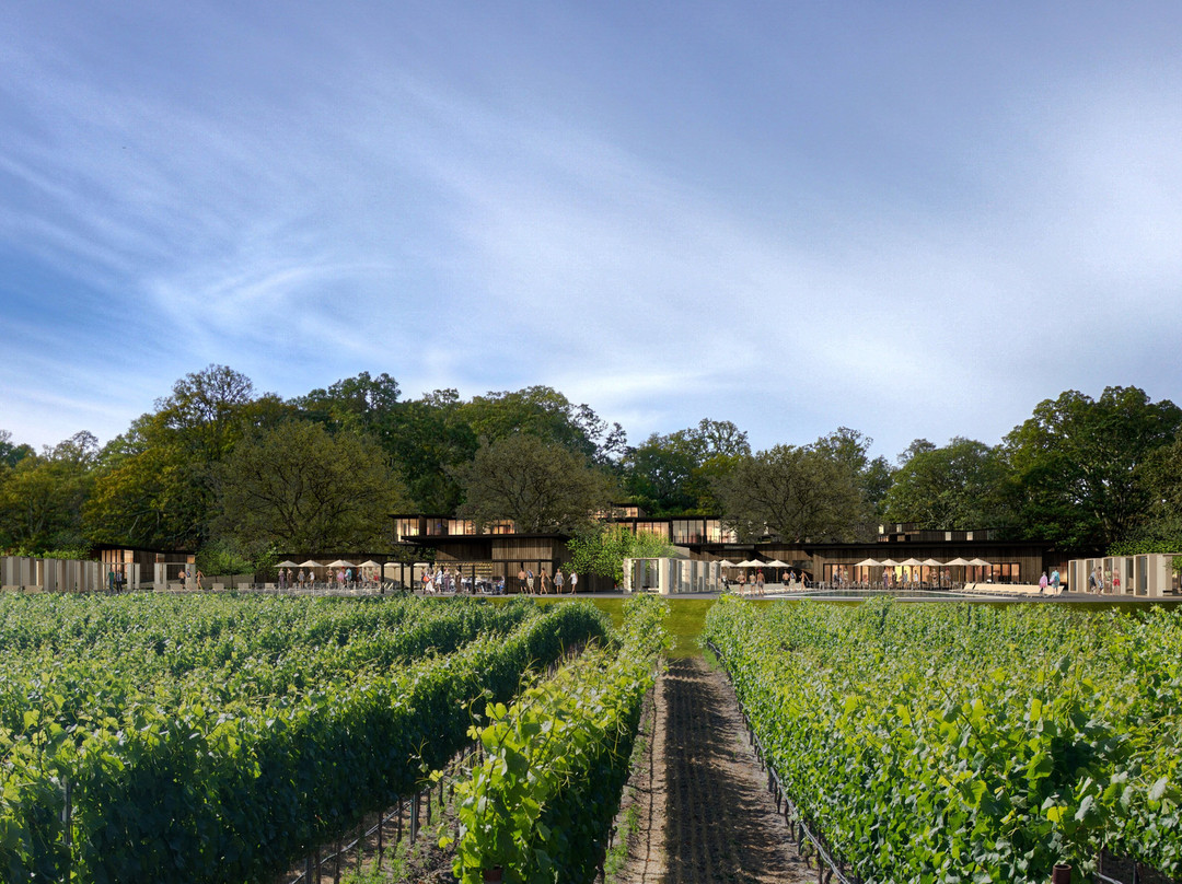 Montage Healdsburg主图