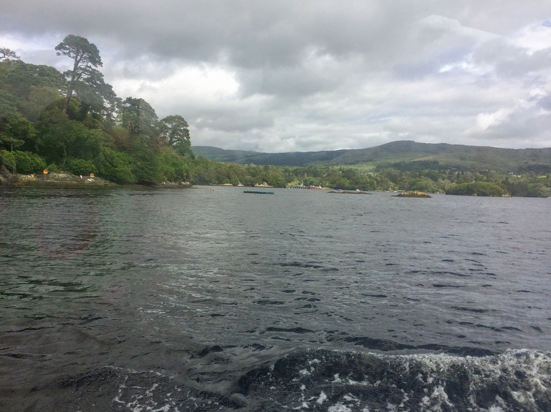 The Blue Pool Ferry-Glengarriff必去景点