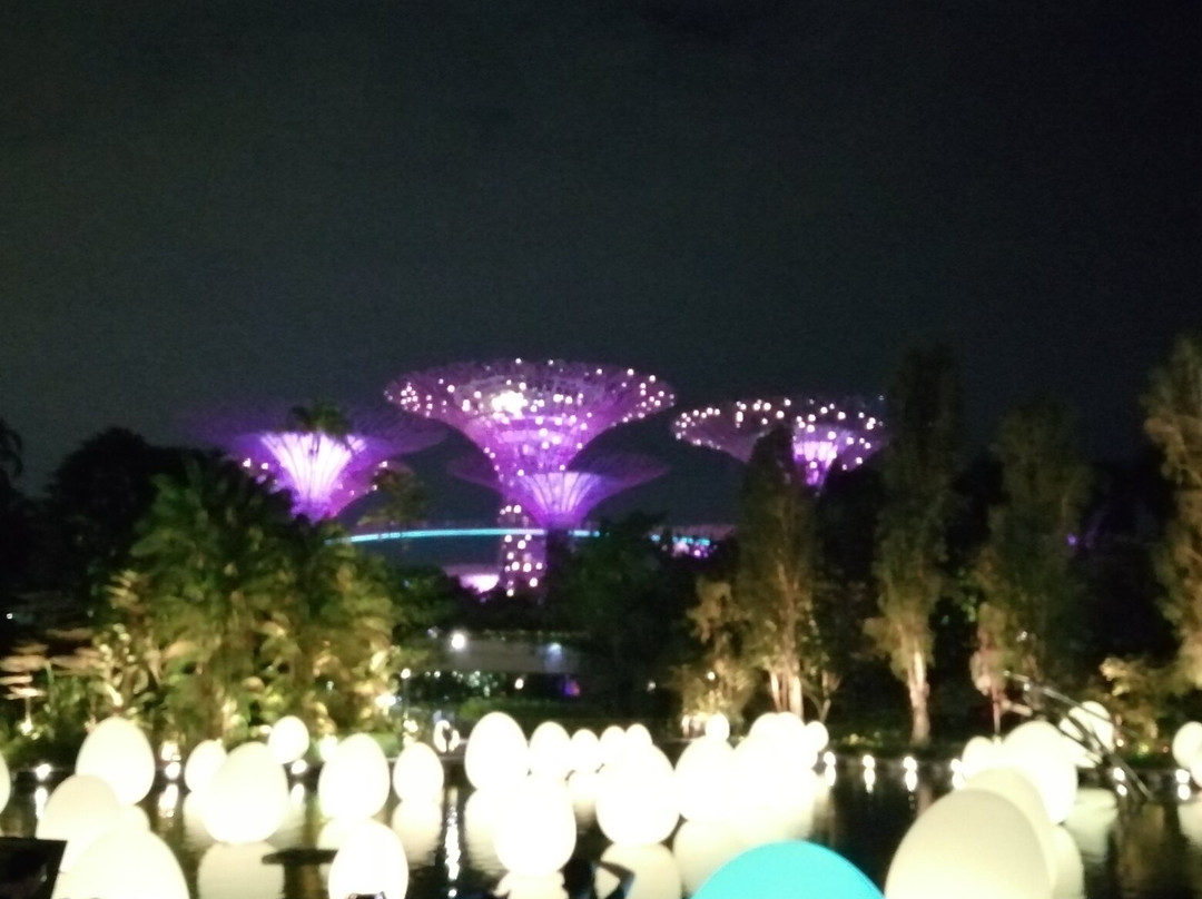 Marina Bay Singapore Countdown景点图片