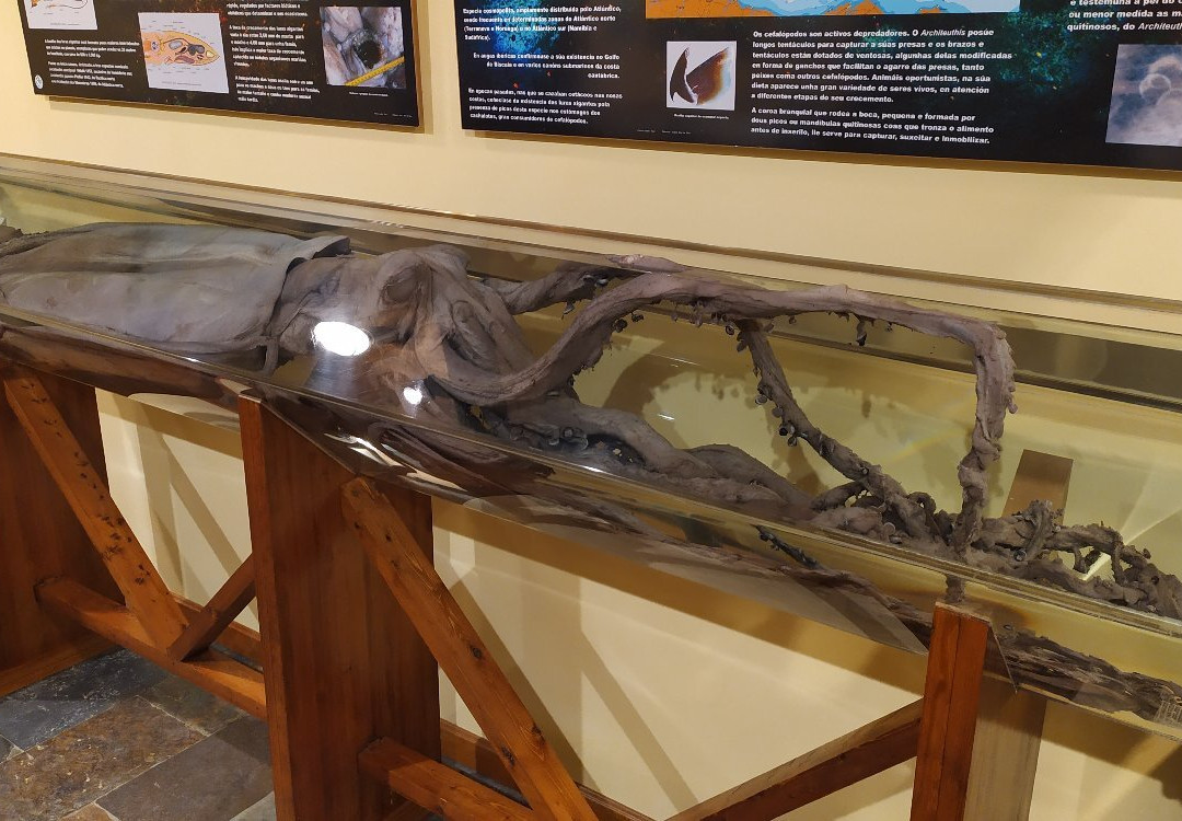 Museo de Historia Natural-费罗尔必去景点