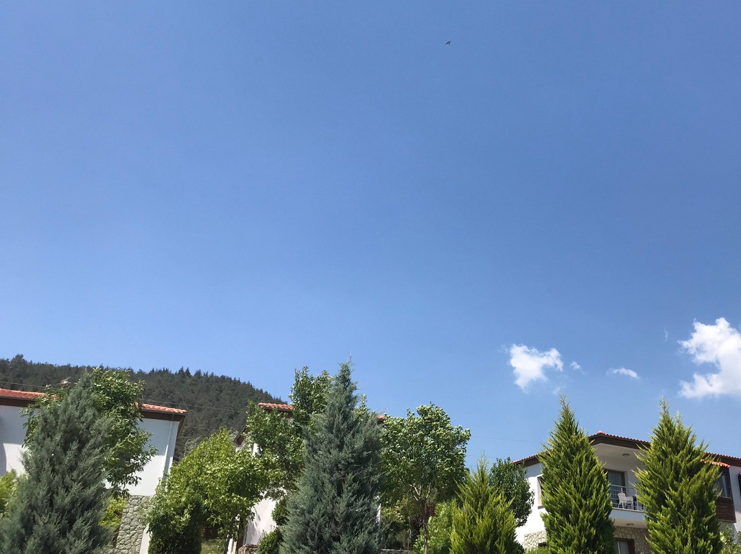 Obam Termal Resort Otel & Spa主图