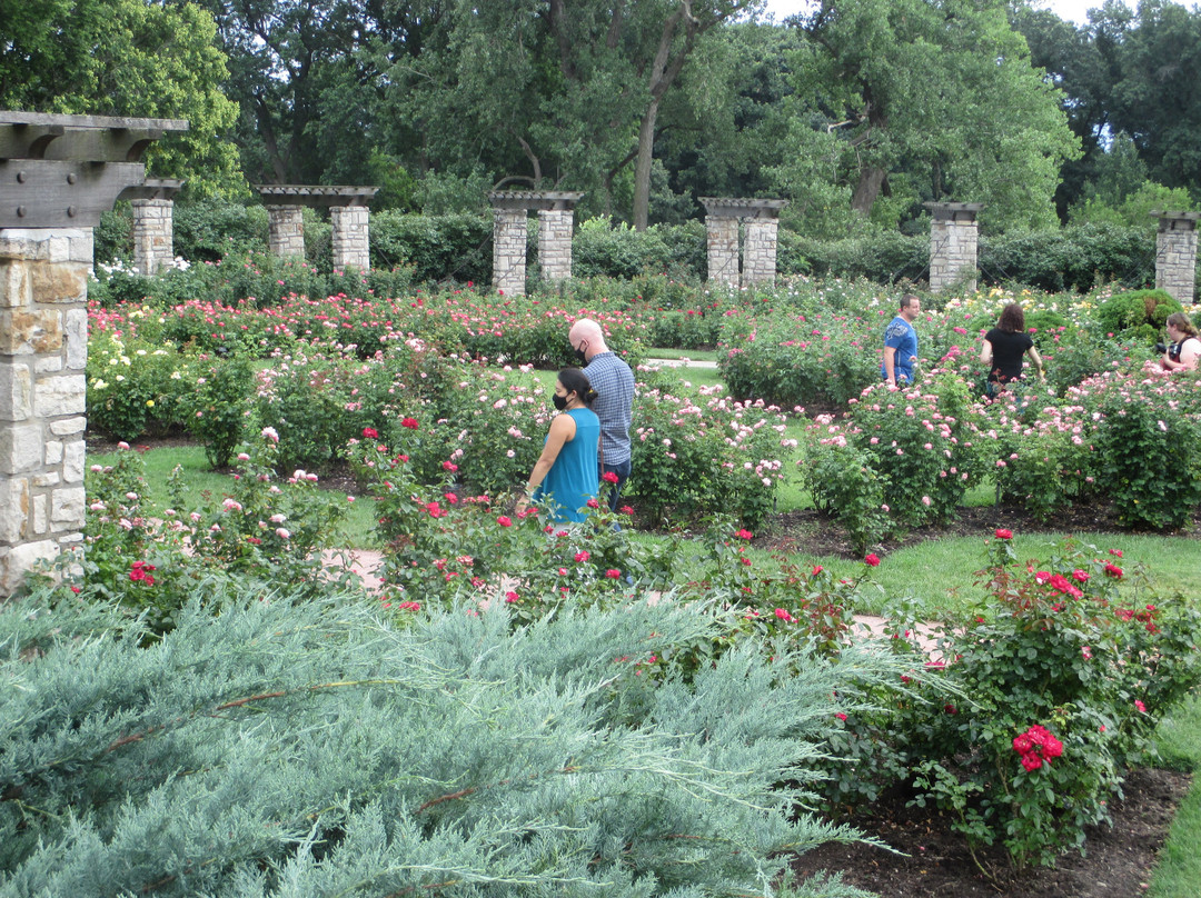 Laura Conyers Smith Rose Garden in Loose Park-堪萨斯城必去景点