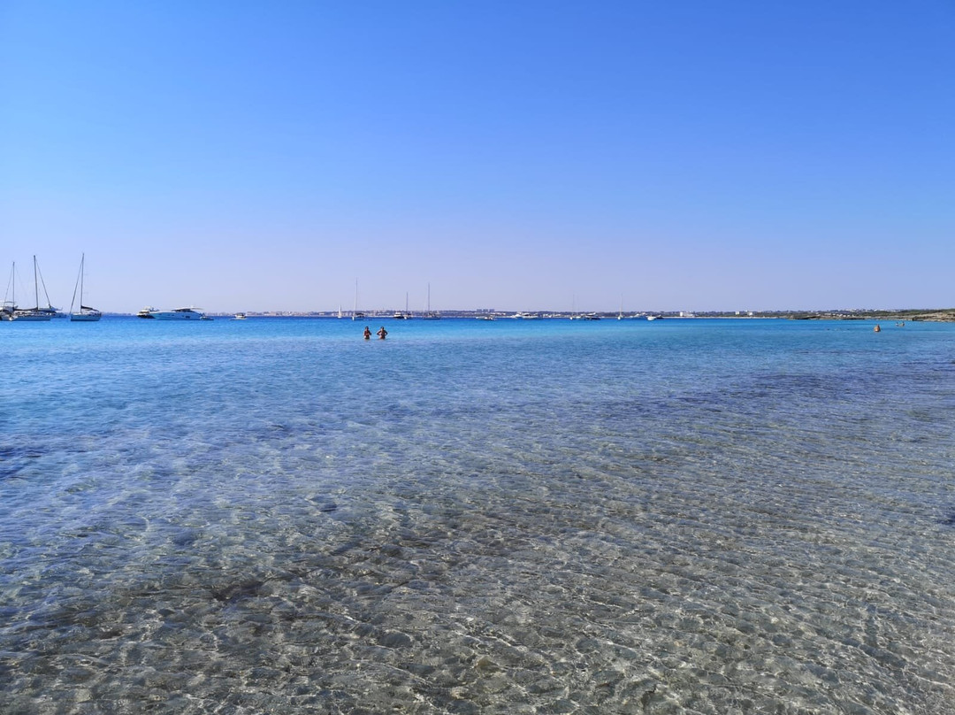 Parco Naturale Regionale Isola di S.Andrea e Litorale di Punta Pizzo,景点图片