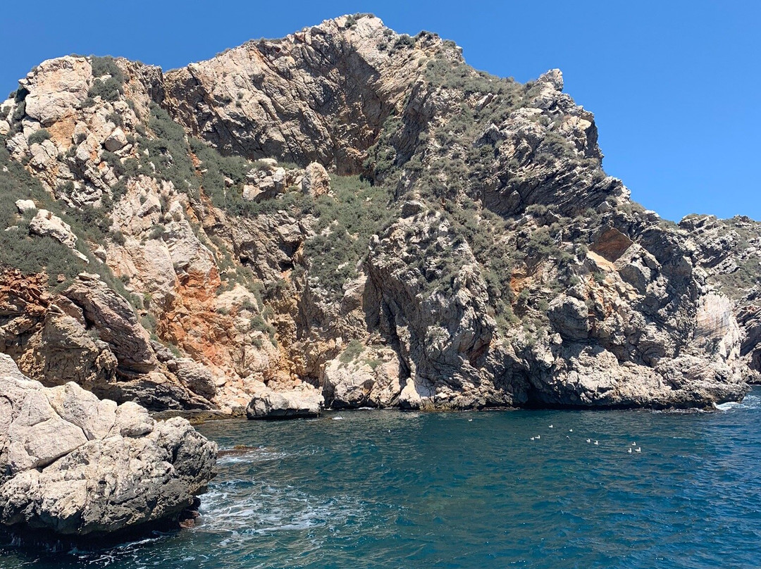La Sirena Diving Center景点图片