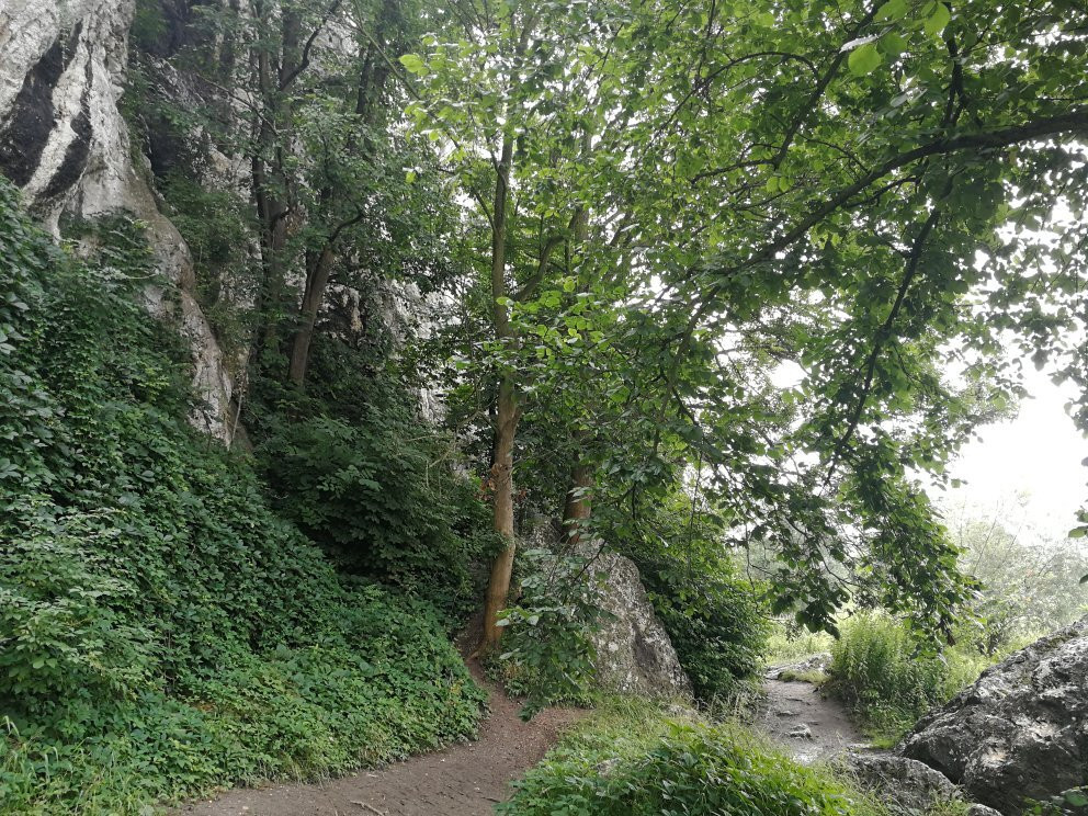 Bielany-Tyniec Landscape Park-克拉科夫必去景点