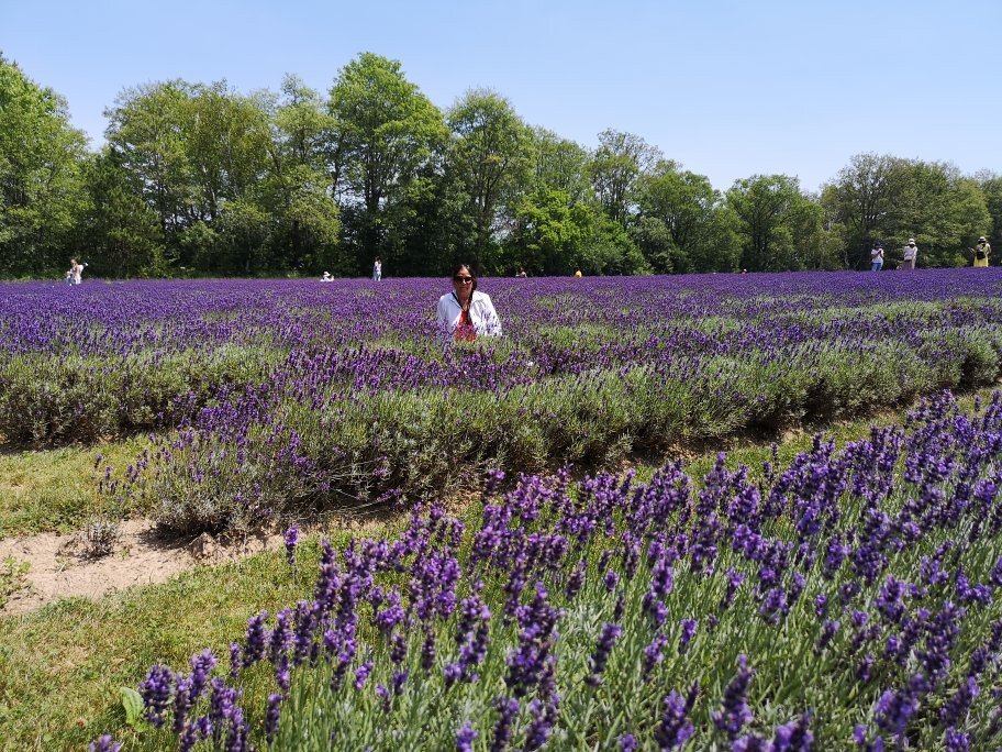 Laveanne-Campbellcroft必去景点