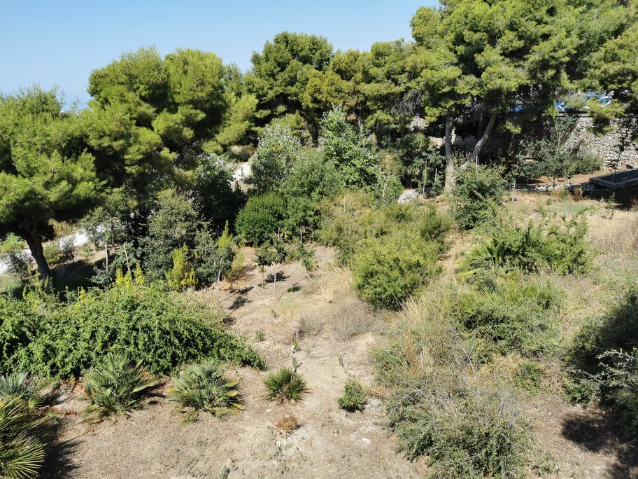 Jardin Botanico Detunda Cueva De Nerja景点图片