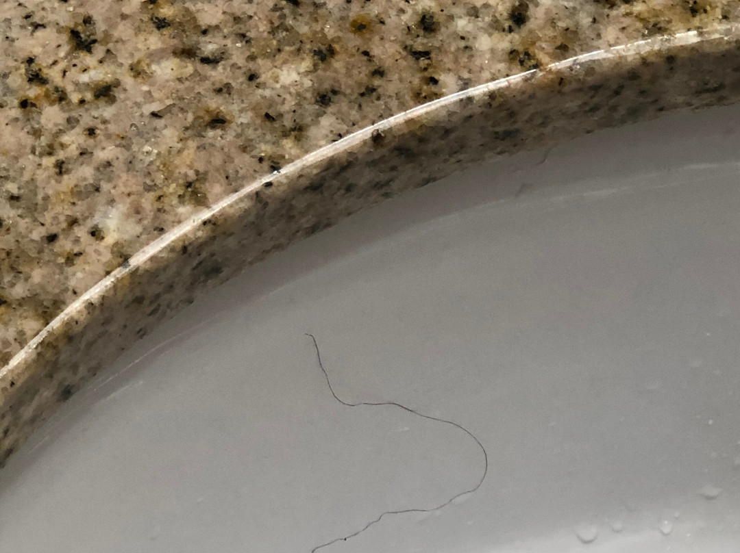 AmericInn by Wyndham Muscatine主图