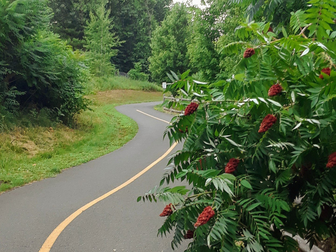 Charter Oak Park-曼彻斯特必去景点
