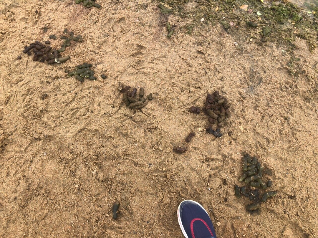 Finger Lakes State Park-哥伦比亚市必去景点