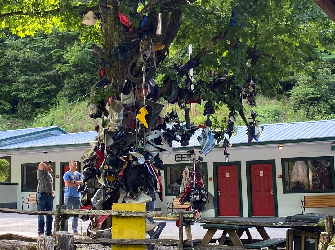 Deals Gap Motorcycle Resort主图