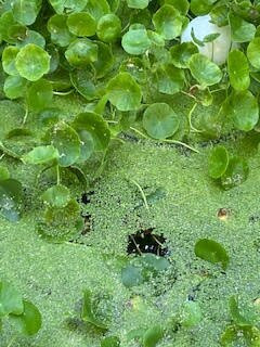 Kessem Bemaga Spa-Or Yehuda必去景点