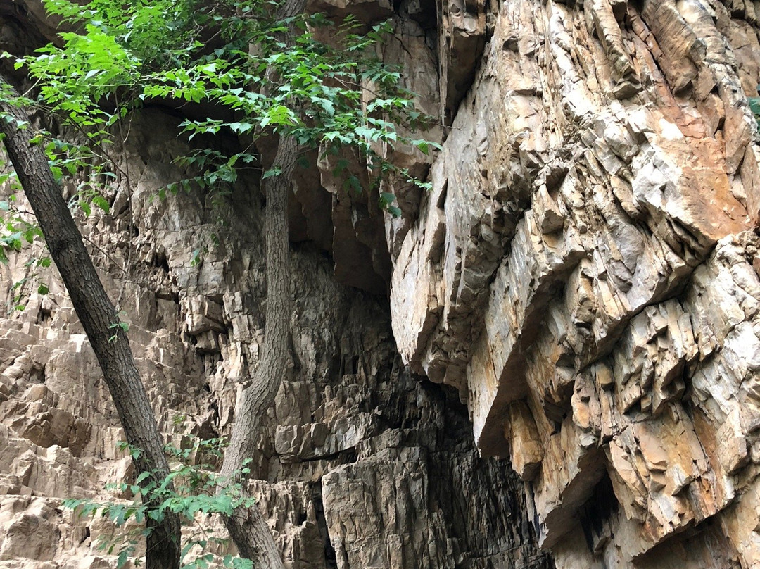 九山顶自然风景区景点图片