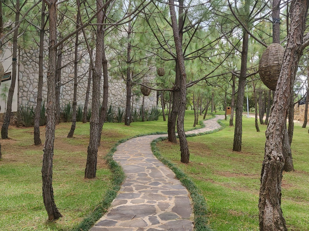 Koanze Luxury Hotel & Spa主图