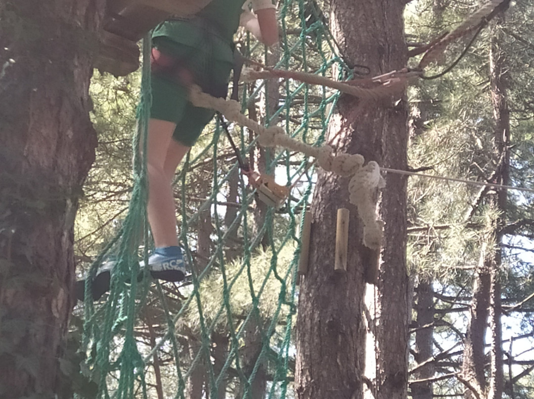 Arbre & Aventure - Côte Picarde-Quend-Plage必去景点