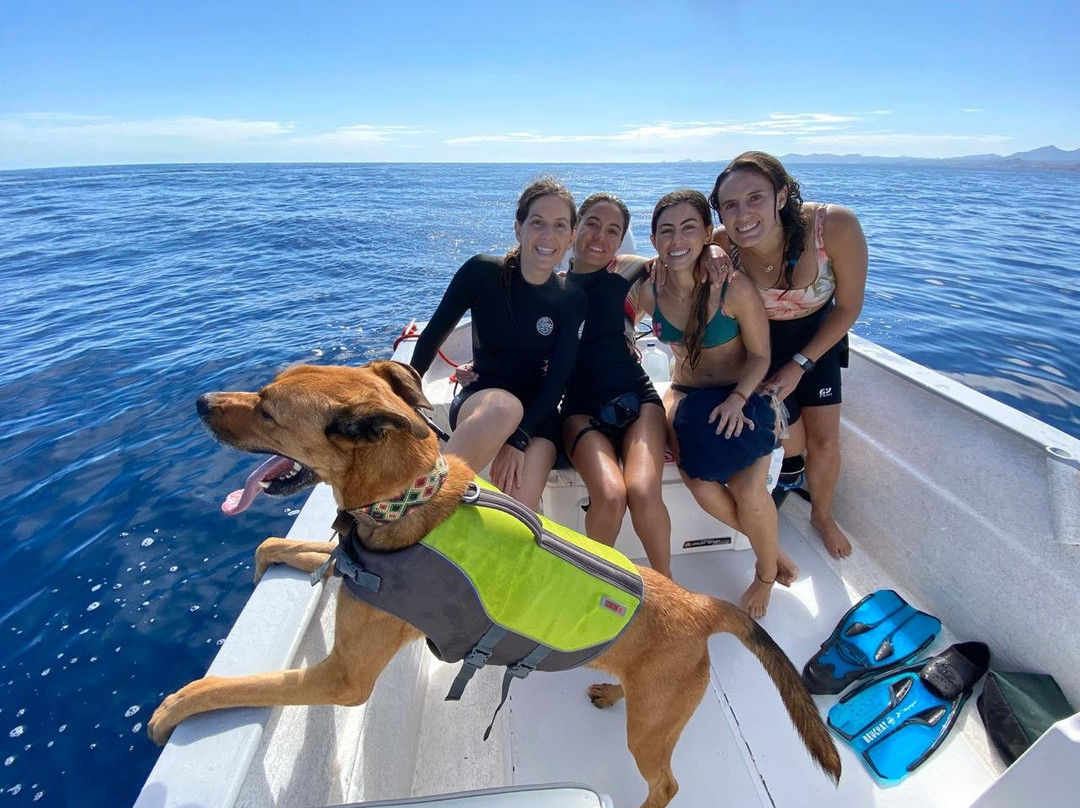 Baja My Love-圣何塞卡波必去景点