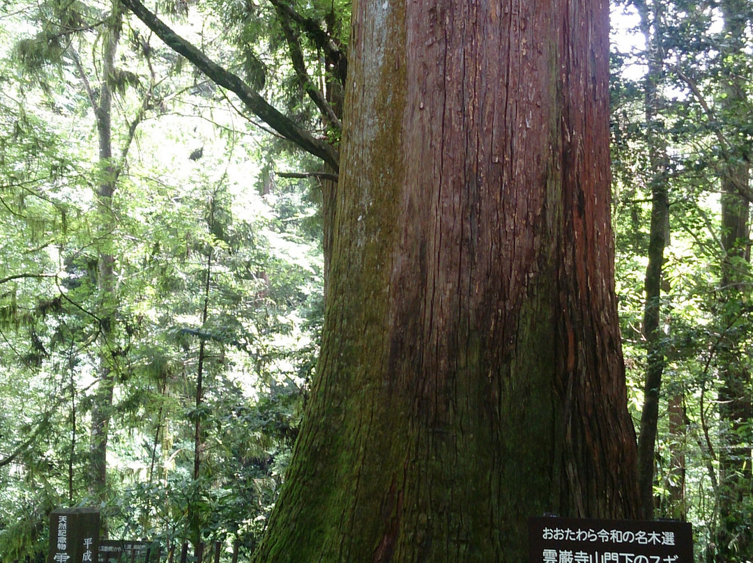 Unganji Temple-太田原市必去景点