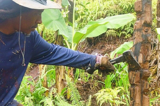 Hawaii Tiki Tours, Lava Rock Sculptures and Off Grid Lifestyle-夏威夷大岛必去景点