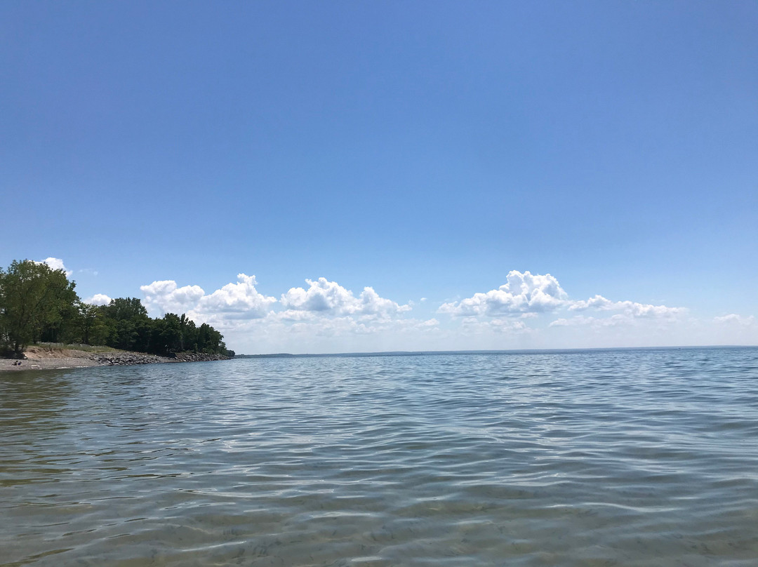 Sandy Island Beach State Park景点图片