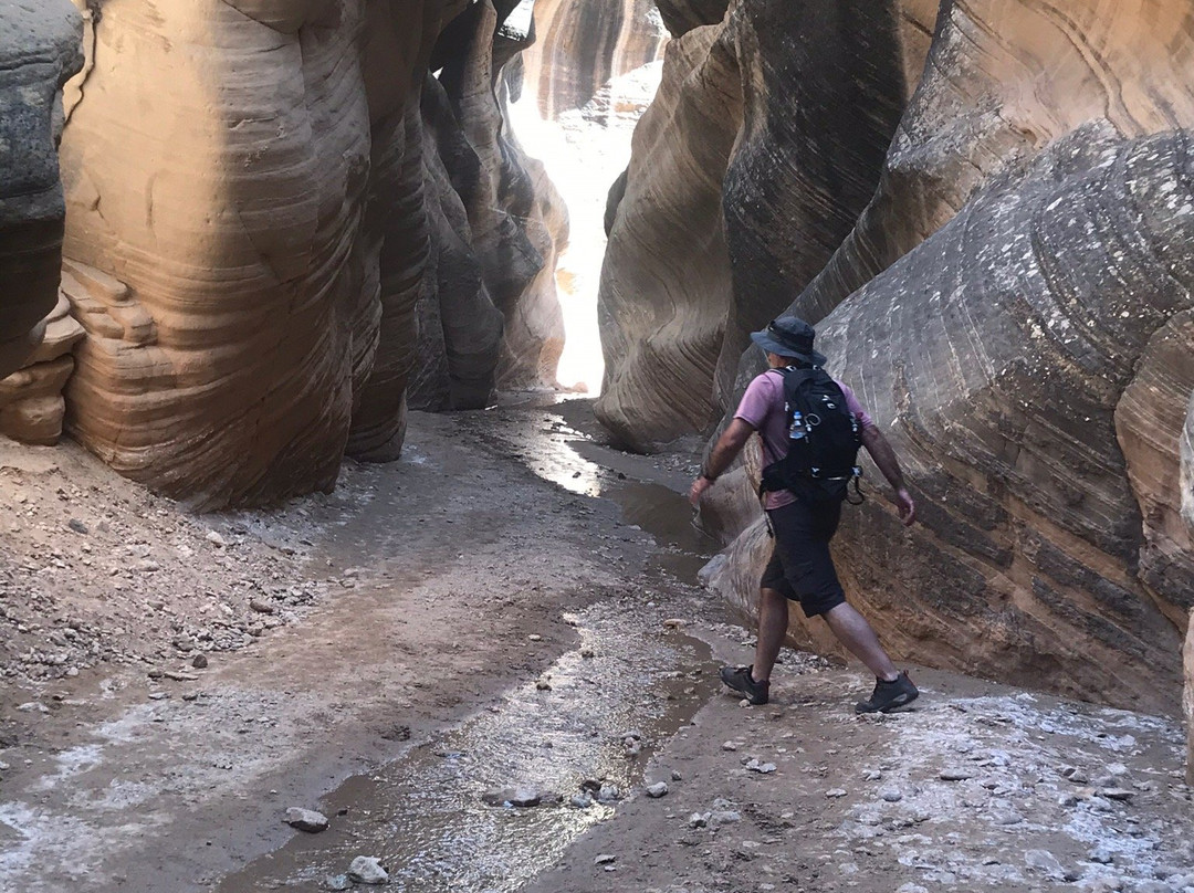 Willis Creek Slot Canyon-Cannonville必去景点