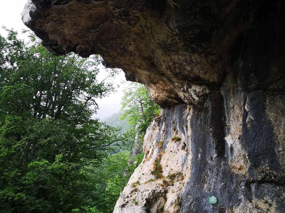 Hohlenwanderweg zum Grafenloch景点图片