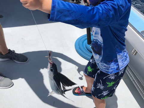 Black Dog Fishing Charter-朱庇特必去景点