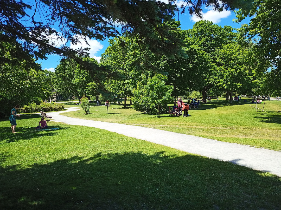 Strathcona Park景点图片