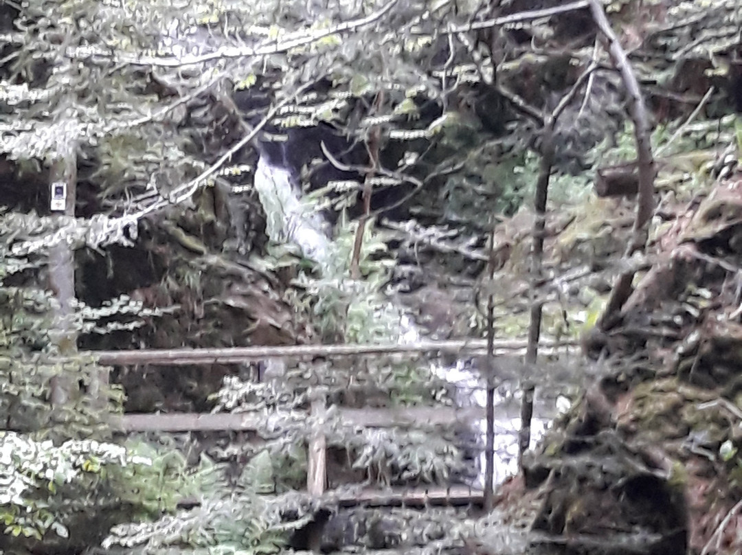 Todtmoos Waterfall-Todtmoos必去景点