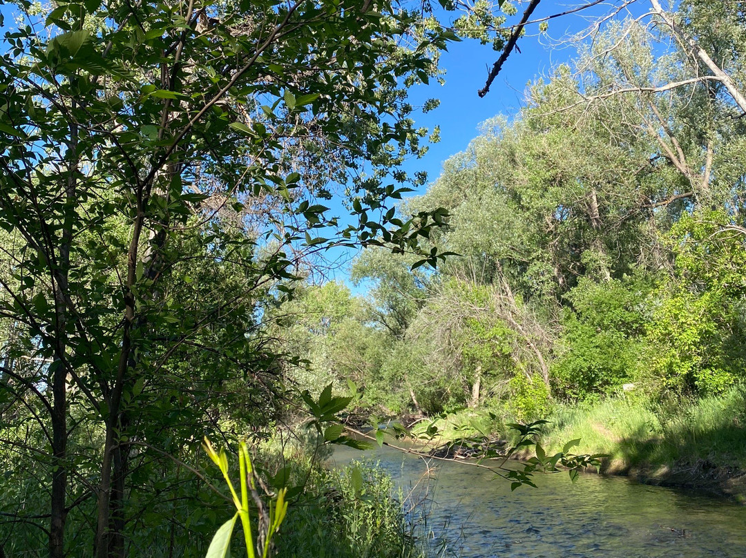 Bear Creek Greenbelt景点图片